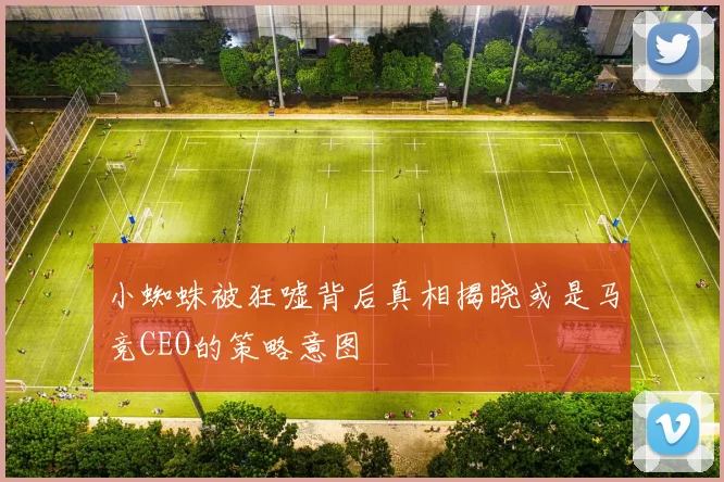 小蜘蛛被狂嘘背后真相揭晓或是马竞CEO的策略意图